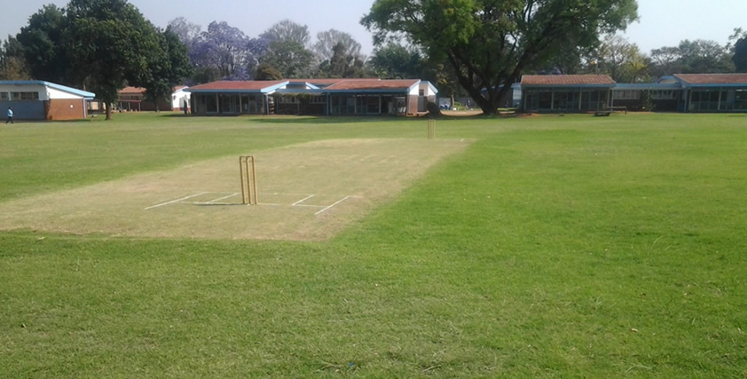 Cricket Field