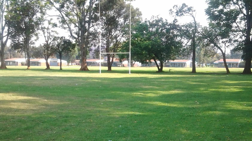 Rugby Field